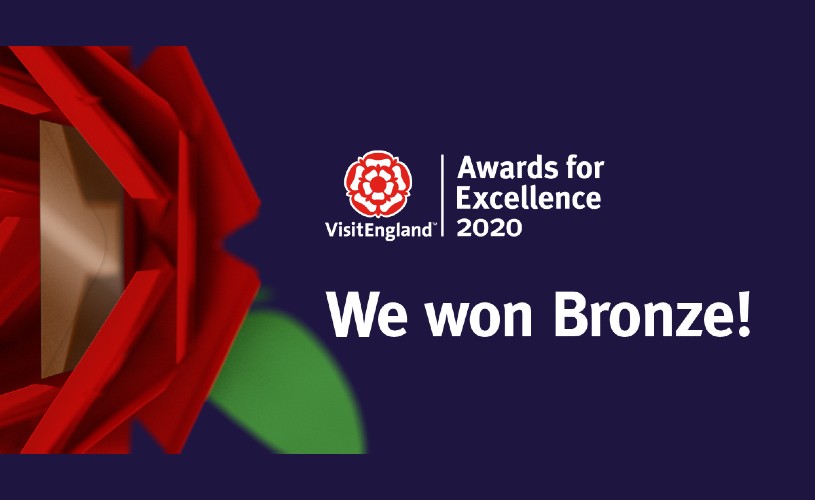 VE Award for Excellence 2020 We Won Bronze